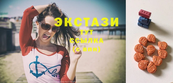 индика Дмитров