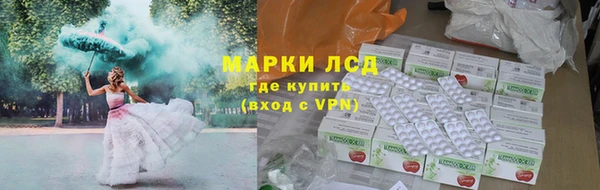 ПСИЛОЦИБИНОВЫЕ ГРИБЫ Алзамай