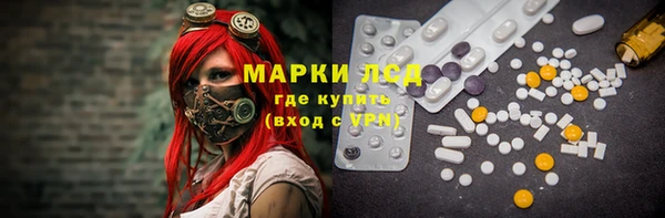 ПСИЛОЦИБИНОВЫЕ ГРИБЫ Алзамай