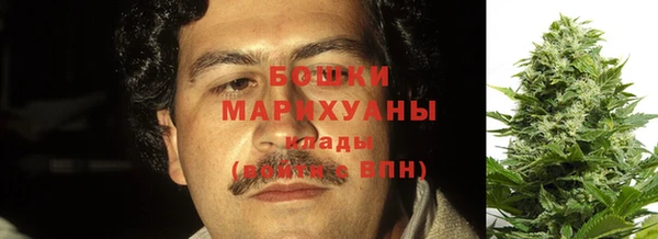 ПСИЛОЦИБИНОВЫЕ ГРИБЫ Алзамай