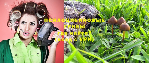 Альфа ПВП Алексин