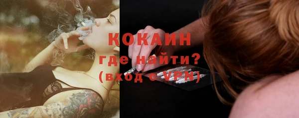 дурь Дмитриев