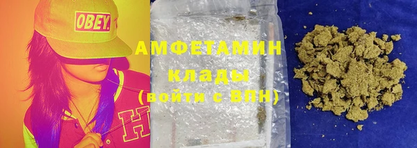 ПСИЛОЦИБИНОВЫЕ ГРИБЫ Алзамай