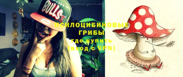 ПСИЛОЦИБИНОВЫЕ ГРИБЫ Алзамай