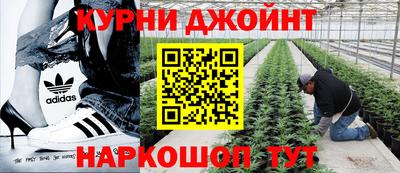 молекула духа Боровичи