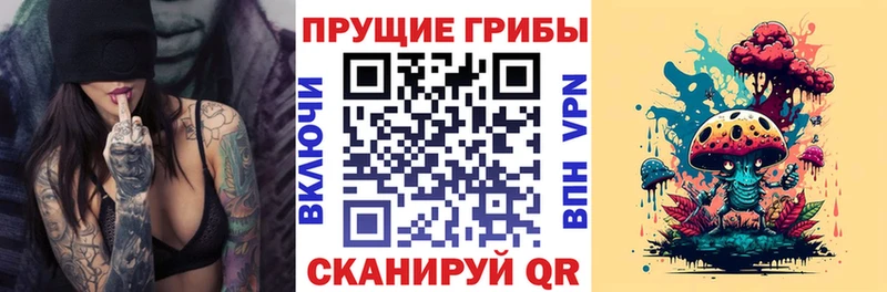 Галлюциногенные грибы MAGIC MUSHROOMS  Вологда 