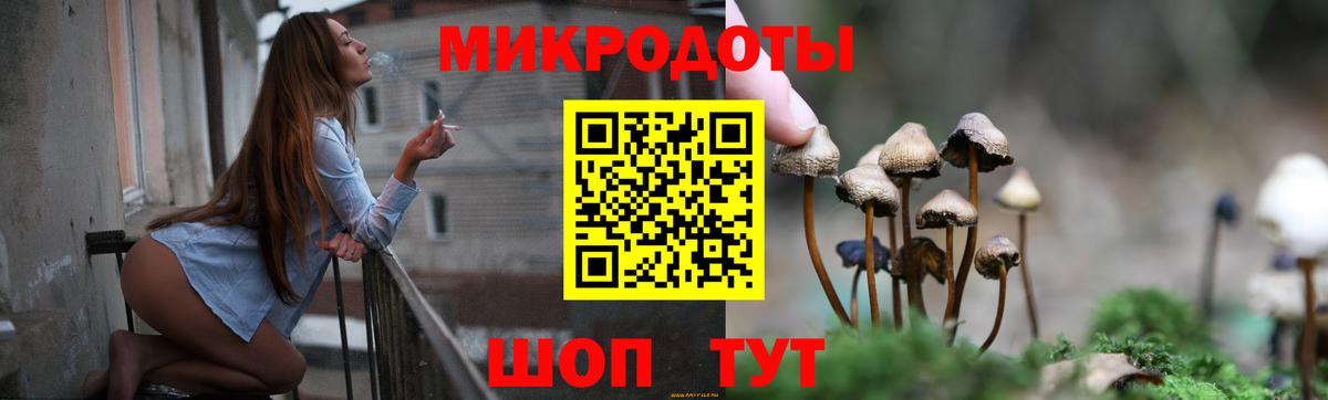 Вологда  Псилоцибиновые грибы Cubensis  Вход с VPN 