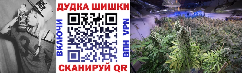 Бошки Шишки White Widow  Вологда 
